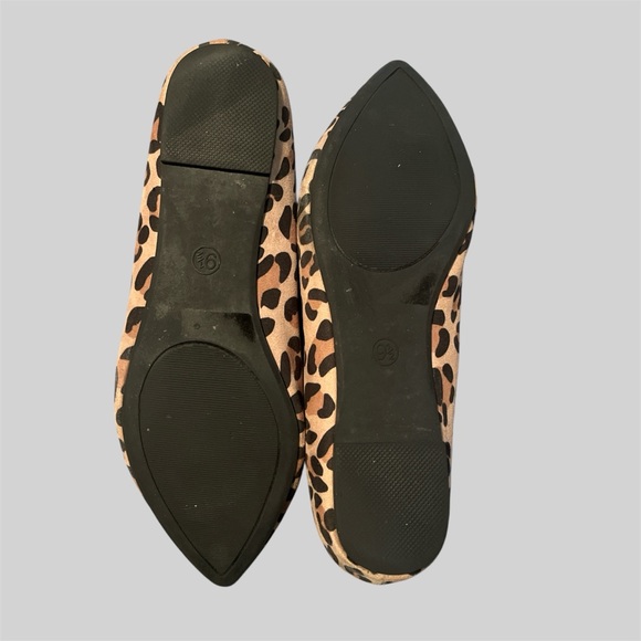 Chic Flats - Picture 6 of 6